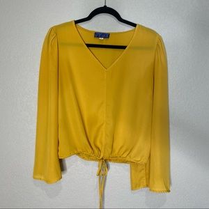 Francesca’s Blue Rain Blouse